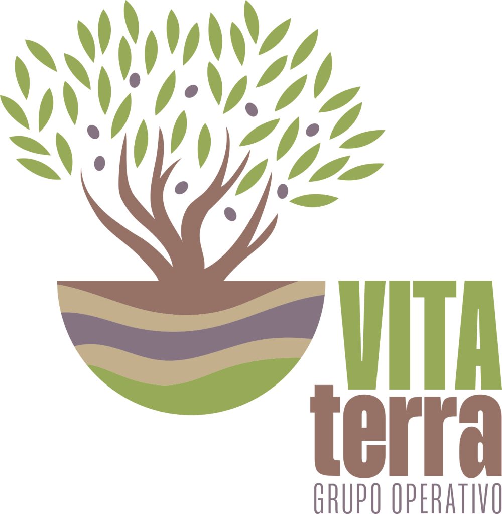 logo vita terra